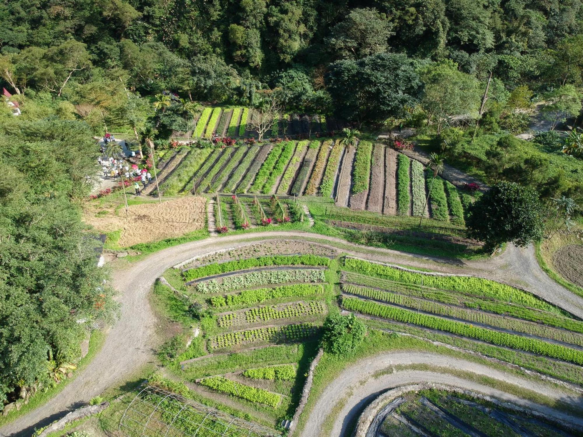 Tou-Cheng Leisure Farm Hotel Toucheng Eksteriør bilde