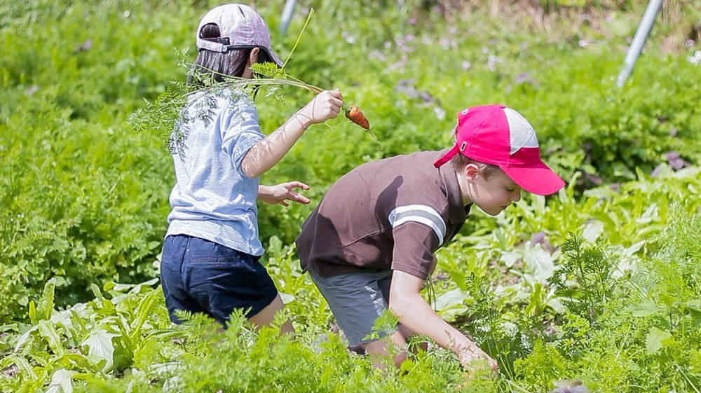 Tou-Cheng Leisure Farm Hotel Toucheng Eksteriør bilde