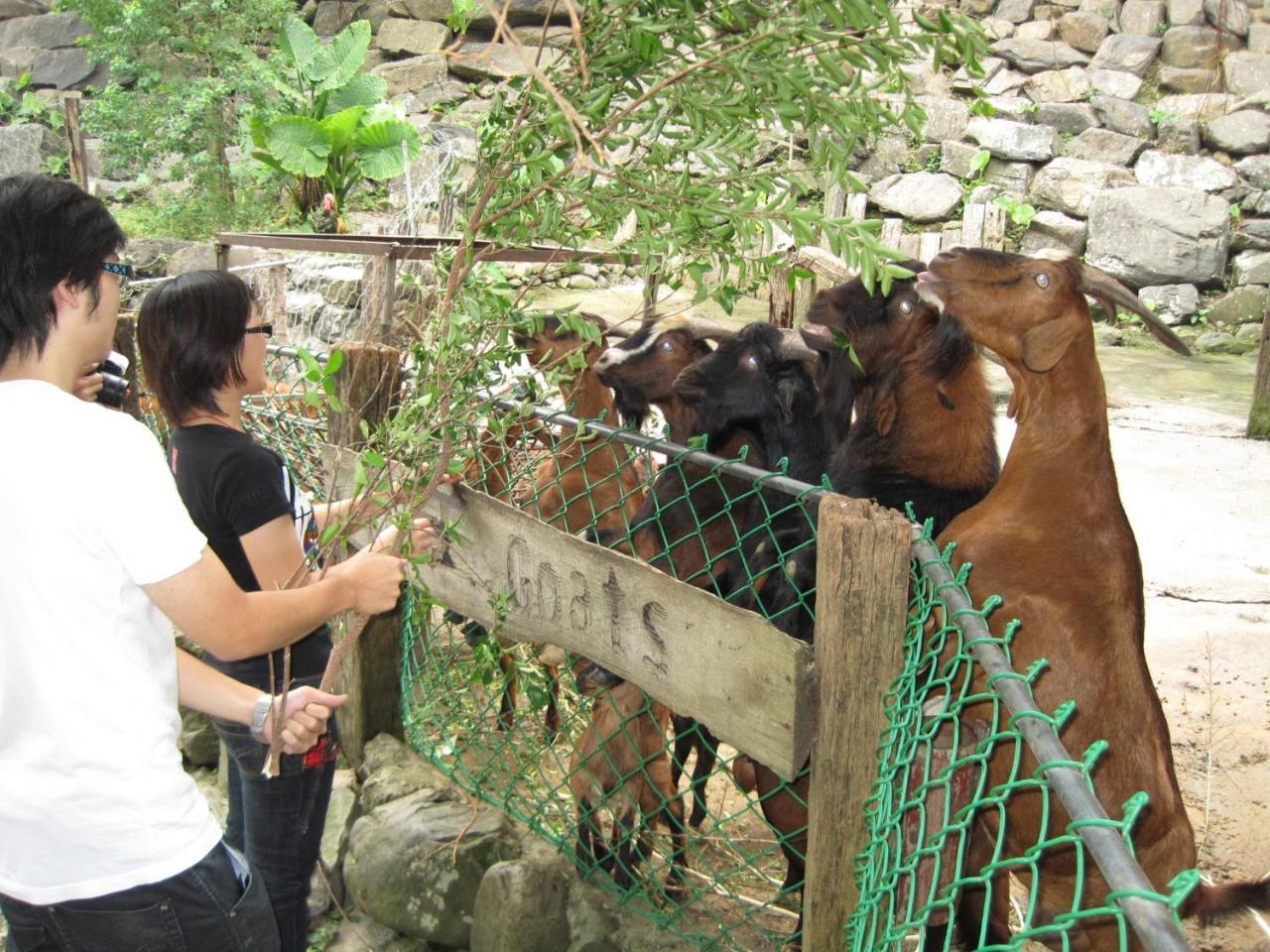 Tou-Cheng Leisure Farm Hotel Toucheng Eksteriør bilde
