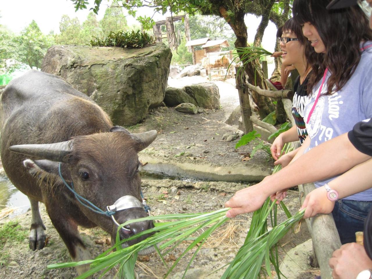 Tou-Cheng Leisure Farm Hotel Toucheng Eksteriør bilde